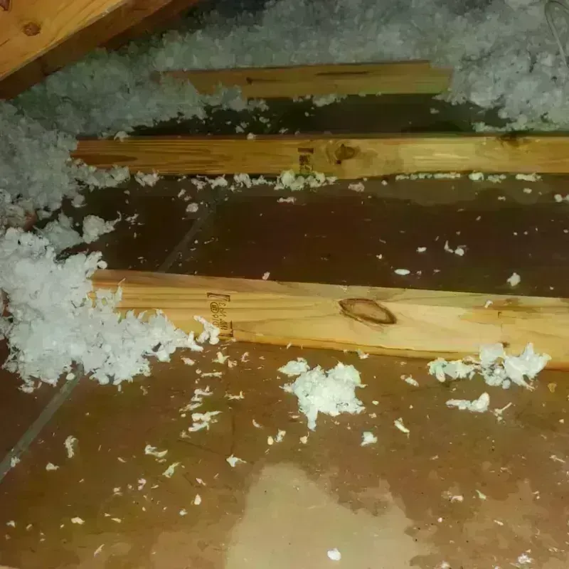 Attic Water Damage in Sylvania, GA