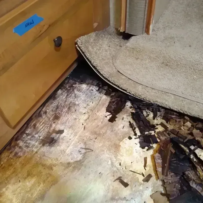 Wood Floor Water Damage in Sylvania, GA